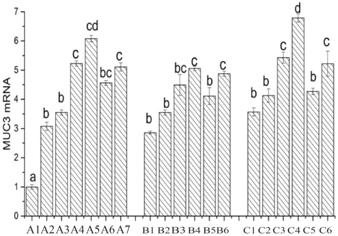 FIGURE 15