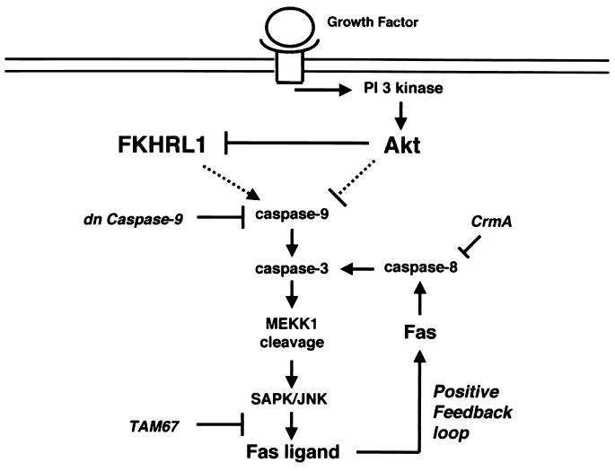 FIG. 9.