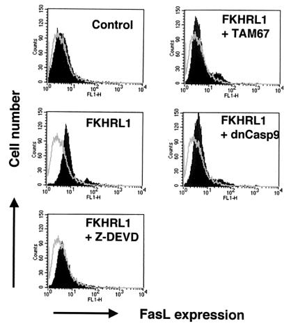 FIG. 8.