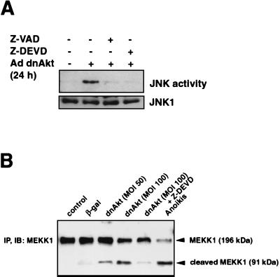 FIG. 5.