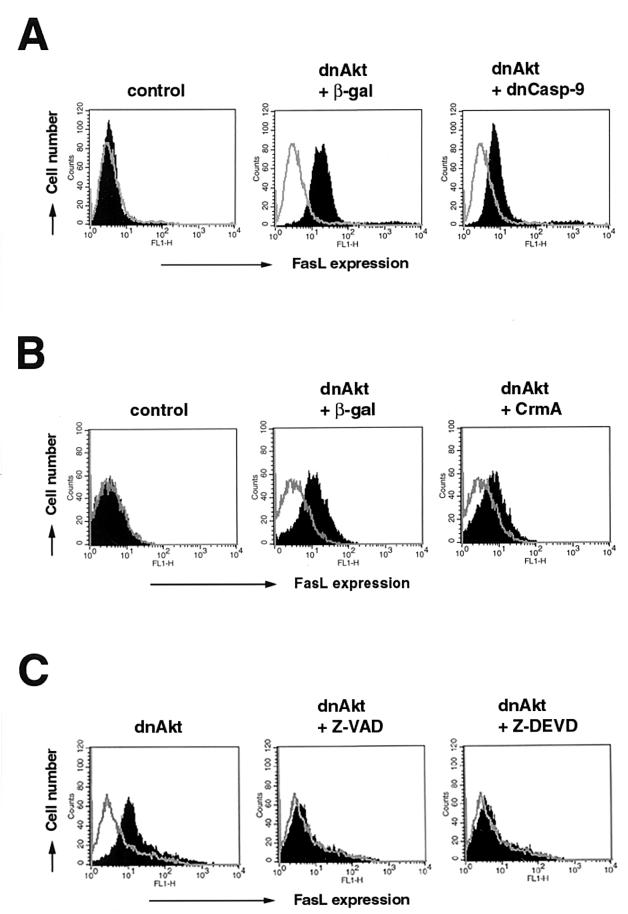 FIG. 7.