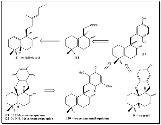 Scheme 19