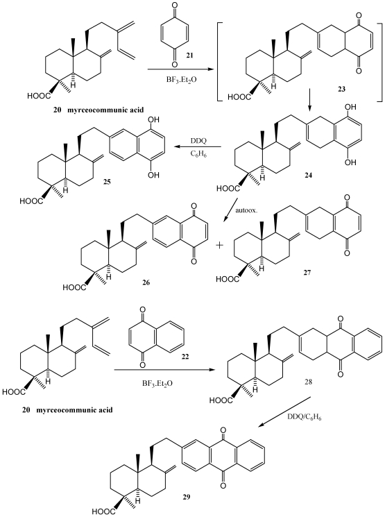 Scheme 2