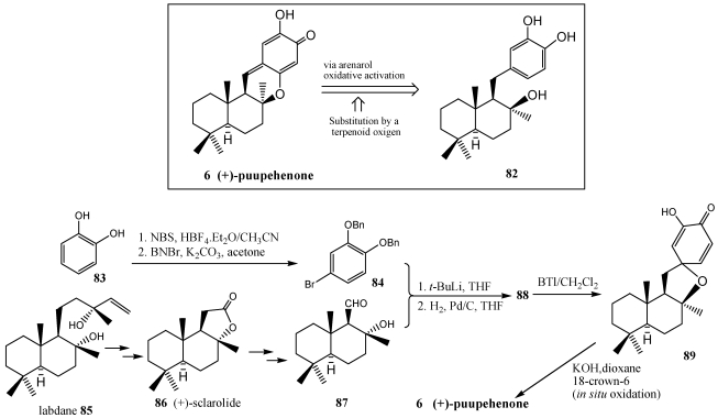 Scheme 14