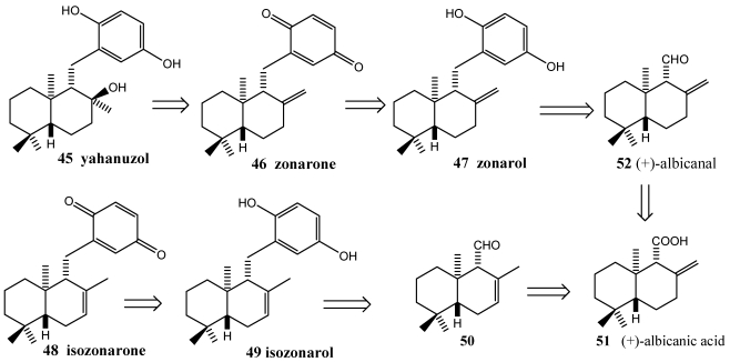 Scheme 7