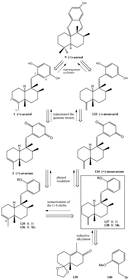 Scheme 22