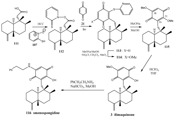 Scheme 18