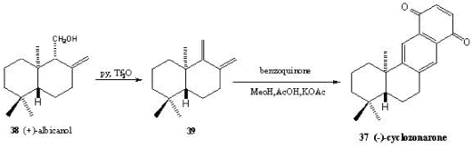 Scheme 5