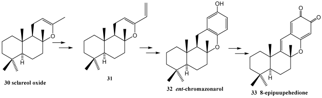 Scheme 3