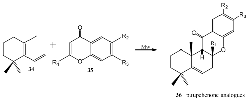 Scheme 4