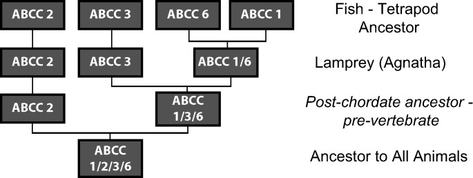 Fig. 6.