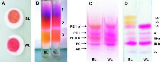 FIG. 8.