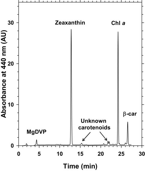 FIG. 2.