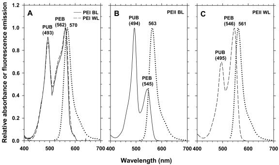 FIG. 9.