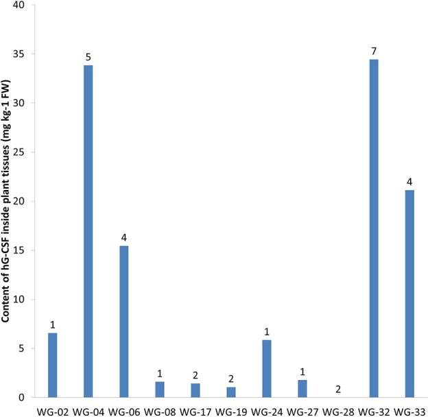 Figure 6