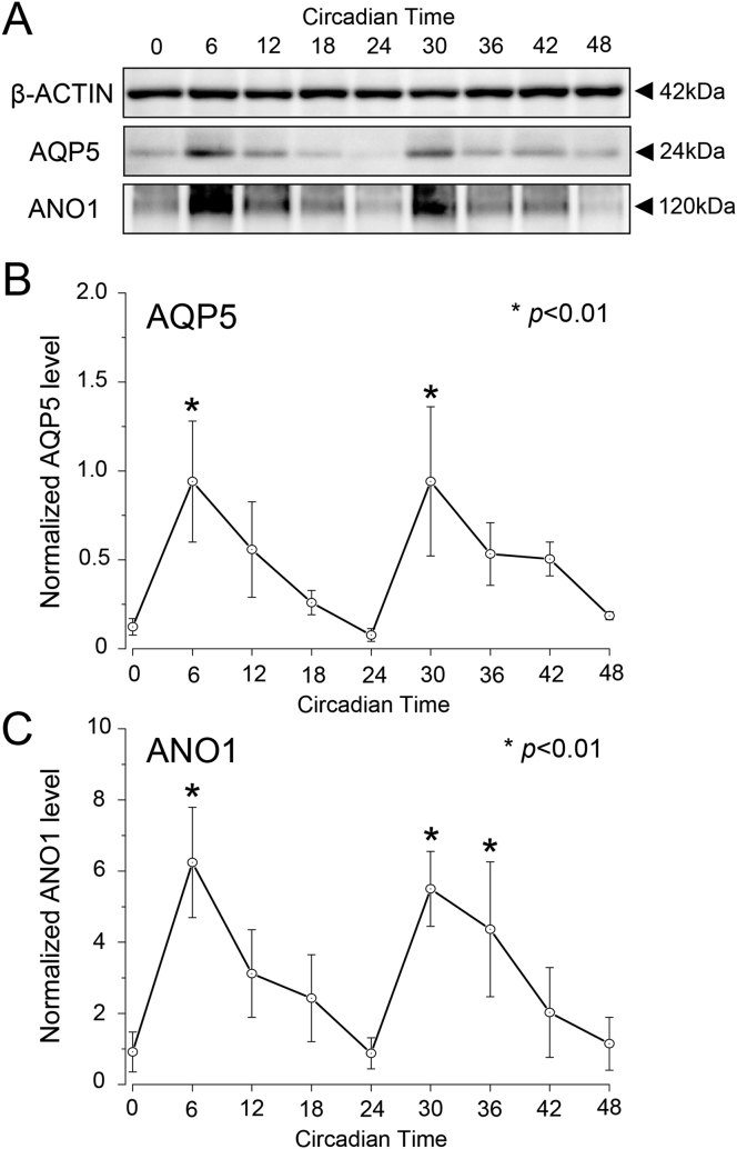 Fig. 3