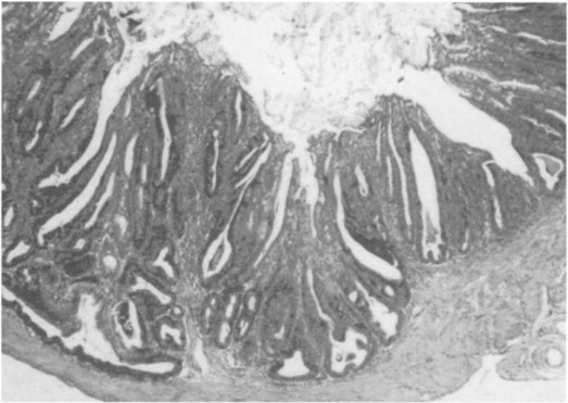 Fig. 32