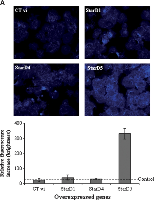 Fig. 7.