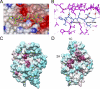 FIGURE 3.