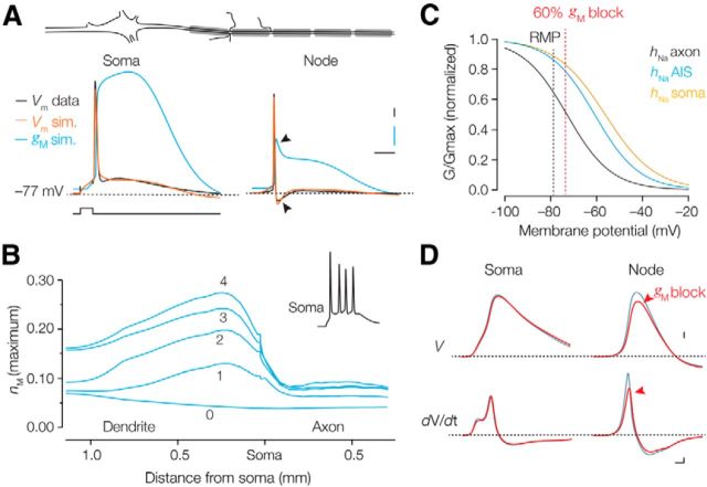 Figure 10.