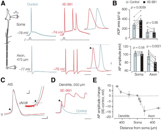 Figure 7.