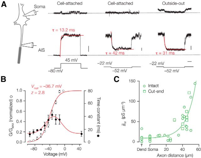 Figure 5.