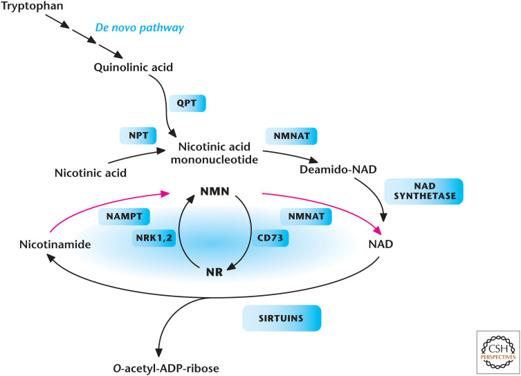 Figure 12.