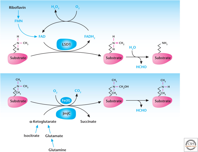 Figure 14.