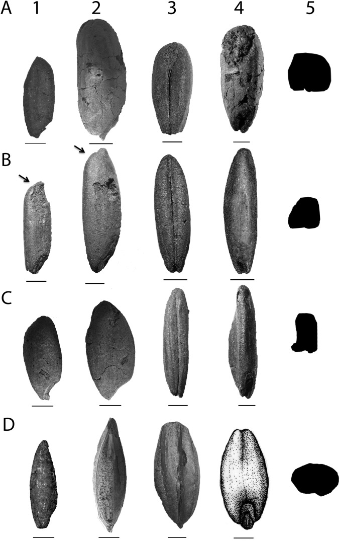 Fig. S1.