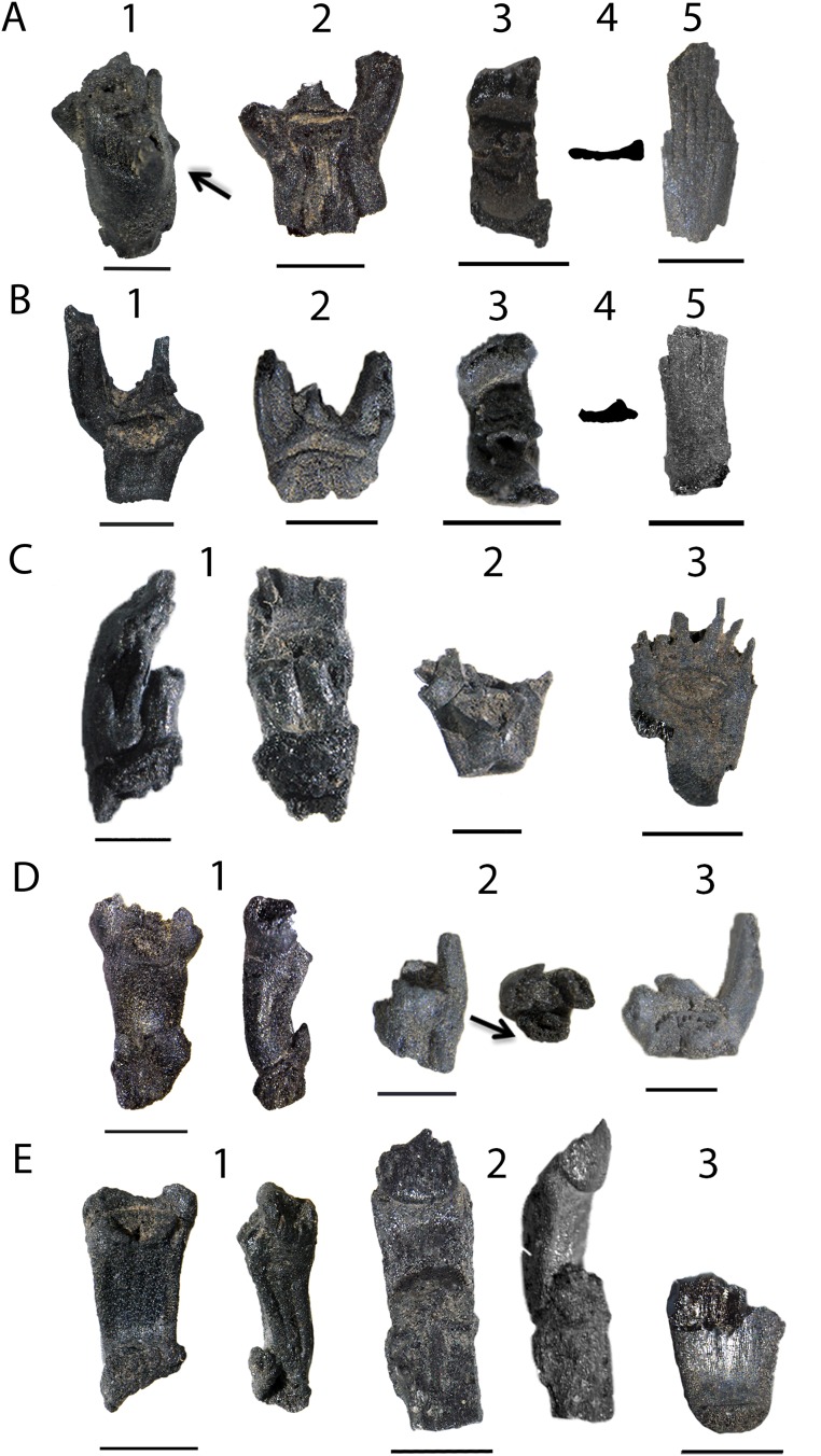 Fig. S2.