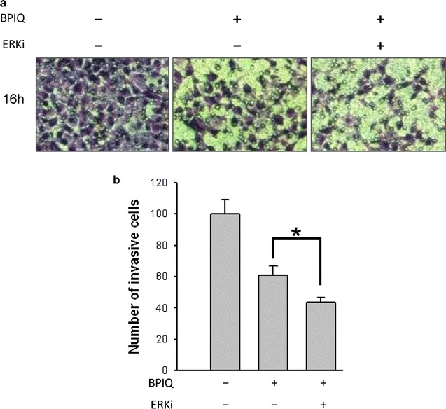 Fig. 8