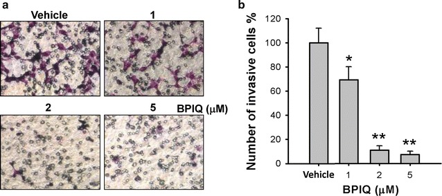 Fig. 6