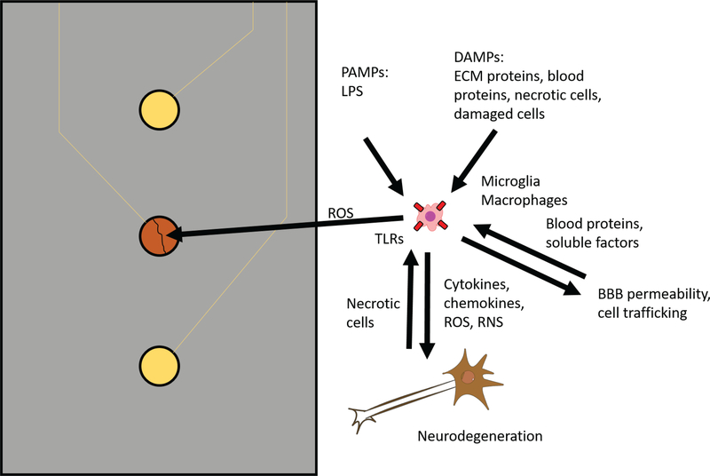 FIG. 2: