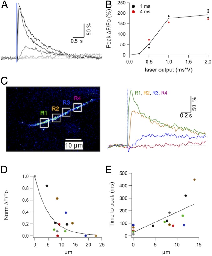 Fig. 3.