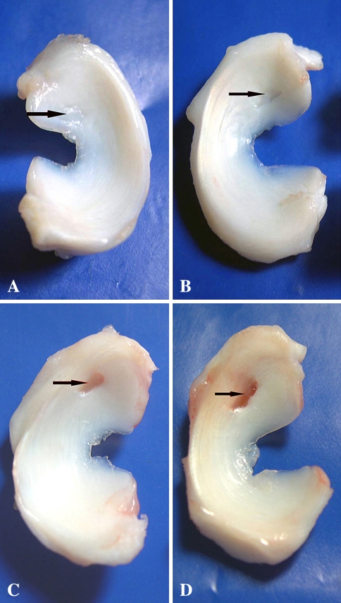 Fig. 2A–D