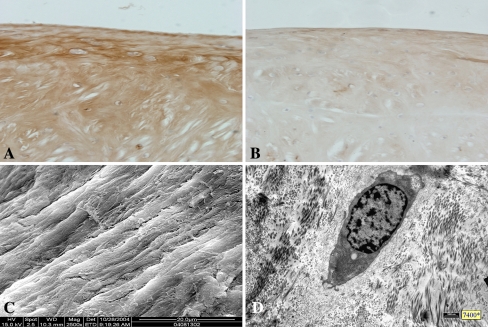 Fig. 4A–D