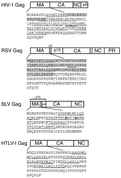 Figure. 1