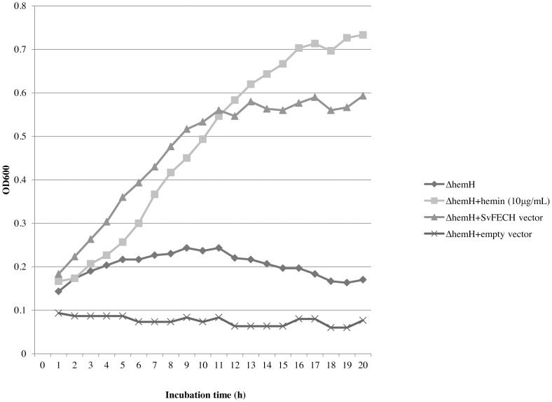 Figure 5