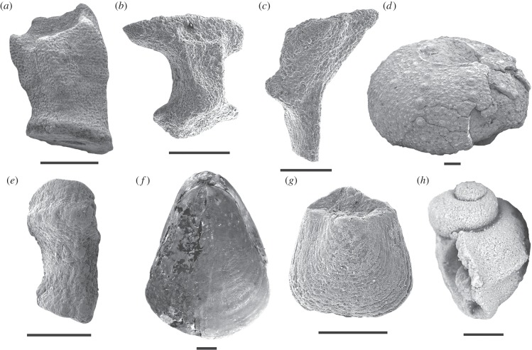 Figure 2.