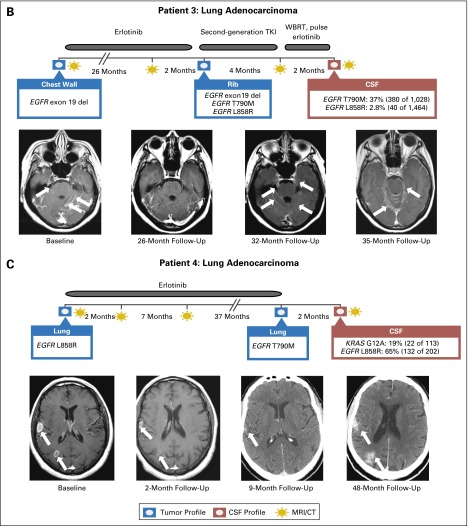 Fig 3.