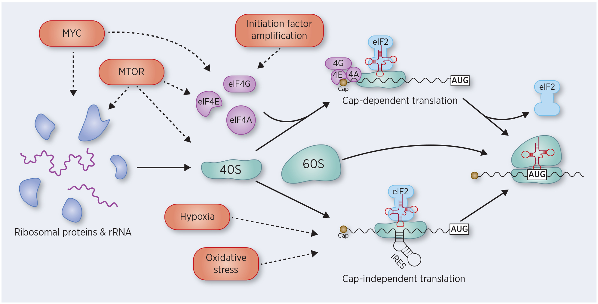 Figure 1: