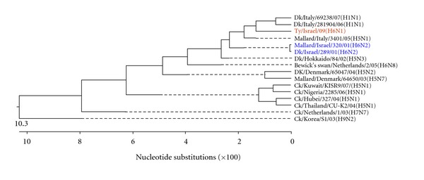 Figure 6