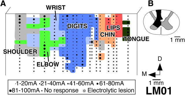 Figure 5.