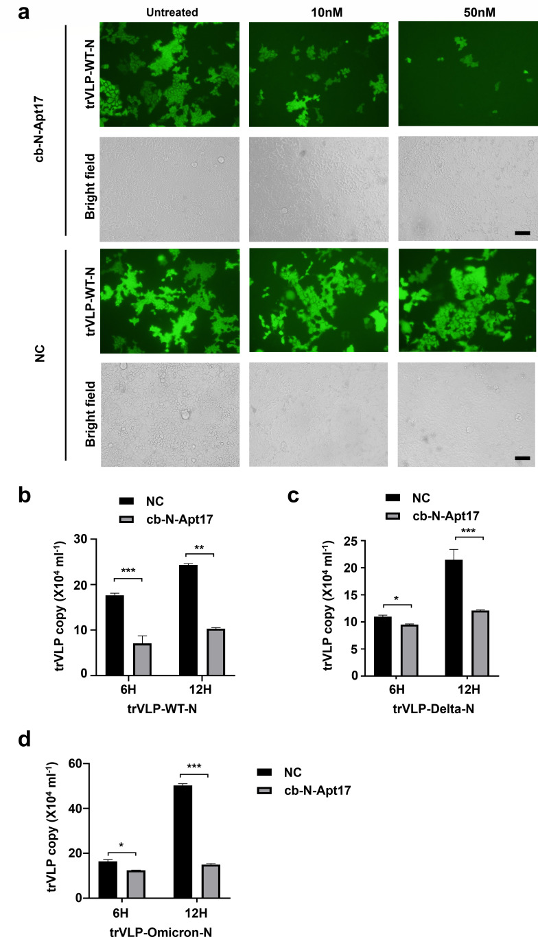 Fig 8