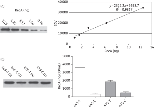 Figure 3.