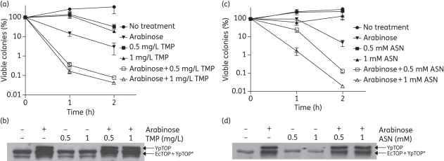 Figure 4.