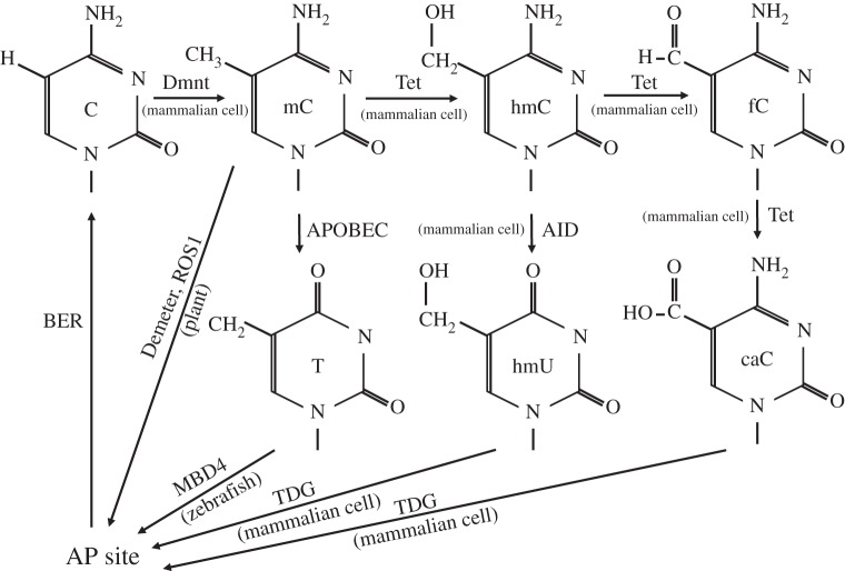 Figure 1.