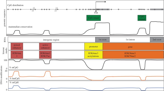 Figure 2.