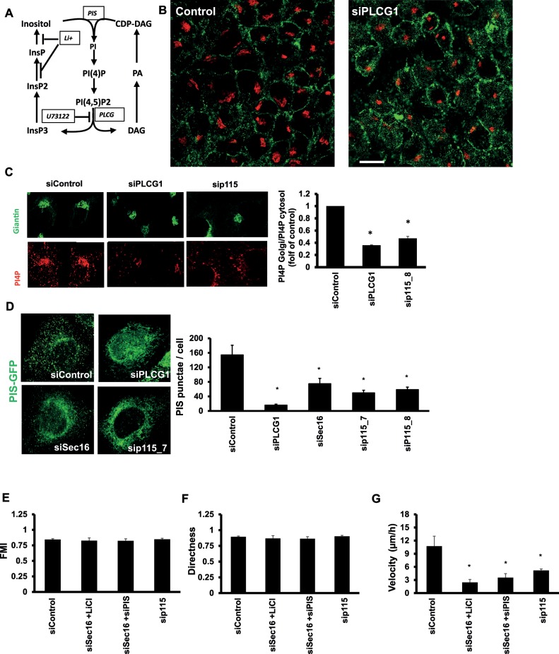 FIGURE 10: