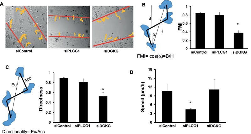 FIGURE 3: